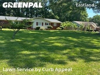 Yard Mowingin Charlotte,28212,Lawn Service by Curb Appeal, work completed in Jun , 2026