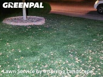 Grass Cutin Lone Tree,80124,Yard Mowing by Inspiring Landscape, work completed in Nov , 2025