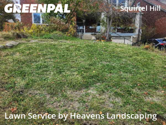 Lawn Care in Pittsburgh, 15217, Yard Upkeep by Heavens Landscaping, work completed in Nov , 2025