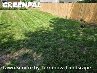 Grass Cuttingin Elgin,60120,Grass Cut by Terranova Landscape, work completed in Dec , 2025