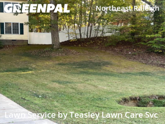 Grass Cut nearby Raleigh, NC, 