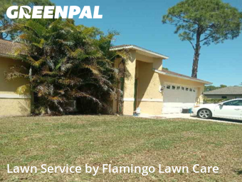 Lawn Care nearby Fort Myers, FL, 