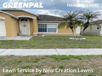 Grass Cutting nearby Brandon, FL, 
