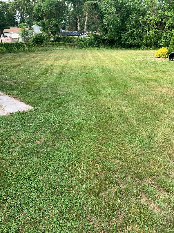 Yardy Boyz Llc Lawn Care Services in Winslow Township, NJ