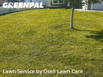 Lawn Care nearby Blaine, MN, 