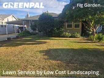 Grass Cutting nearby Fresno, CA, 