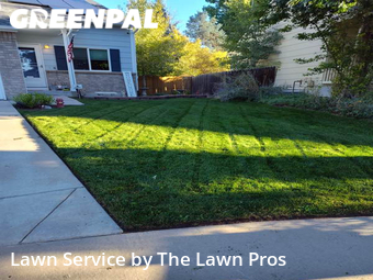 Grass Cutting nearby Thornton, CO, 