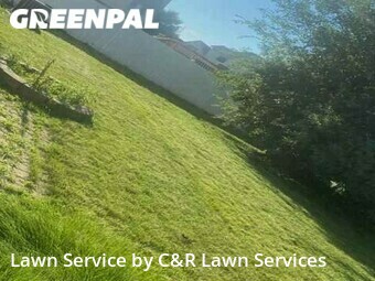 Lawn Mow nearby Southgate, MI, 