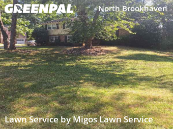 Backyard Mowing in Chamblee, 30341, Yard Care by Migos Lawn Service, work completed in Nov , 2025
