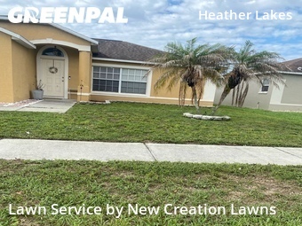 Lawn Cut nearby Brandon, FL, 