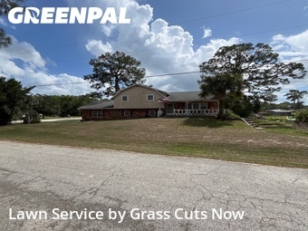 Lawn Cut nearby Tavares, FL, 