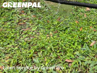 Yard Mowing nearby Clermont, FL, 