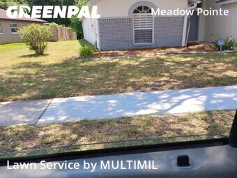 Grass Cut nearby Zephyrhills, FL, 