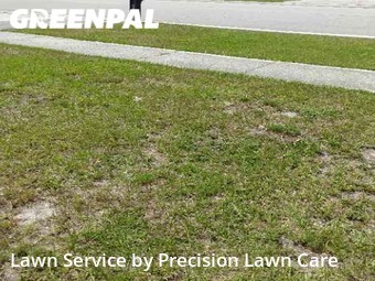 Grass Cutting nearby Pinellas Park, FL, 