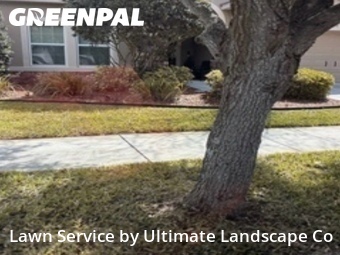 Lawn Cutting nearby Riverview, FL, 