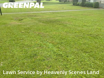 Lawn Maintenance nearby Vestavia Hills, AL, 