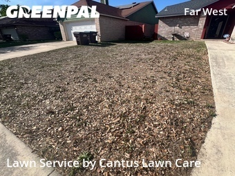 Grass Cut nearby San Antonio, TX, 