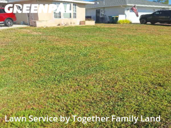 Lawn Cut nearby Port Charlotte, FL, 