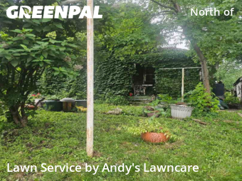 Yard Cutting nearby Saint Paul, MN, 