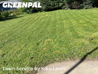 Lawn Maintenance nearby Minneapolis, MN, 