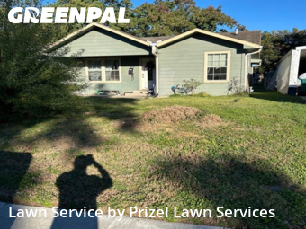 Lawn Cuttingin Pasadena,77506,Lawn Mowing Service by Prizel Lawn Services, work completed in Jan , 2026
