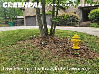 Yard Cutting nearby Charlotte, NC, 