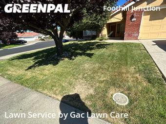 Grass Cut nearby Roseville, CA, 