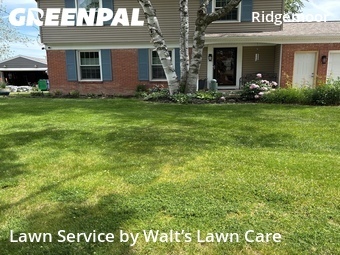 Lawn Cutting nearby Grand Rapids, MI, 