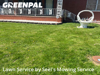 Lawn Mow nearby East St. Louis, IL, 