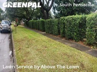 Lawn Services in Pensacola, 32502, Lawn Cutting by Above The Lawn, work completed in Nov , 2025