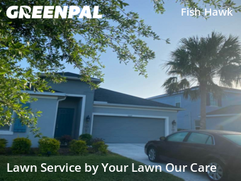 Yard Mowing in Fish Hawk, 33547, Mowing Services by Cnp Lawn Care, work completed in Nov , 2025