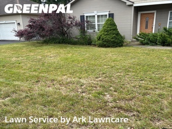Lawn mowed in Schenectady, 12306