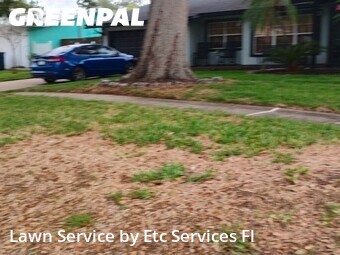 Lawn Cuttingin Clearwater,33764,Lawn Care by Etc Services Fl, work completed in Jun , 2026