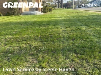 Grass Cut nearby Grand Rapids, MI, 