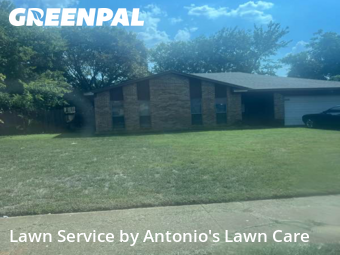 Lawn Cutin Irving,75060,Lawn Care Service by Antonio's Lawn Care, work completed in Nov , 2025