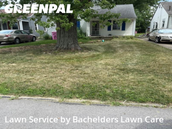 Lawn Mow nearby Mansfield, OH, 