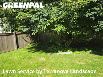 Yard Care Services in Woodridge, 60517, Lawn Services by Terranova Landscape, work completed in Nov , 2025