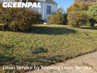 Lawn Care nearby East St. Louis, MO, 