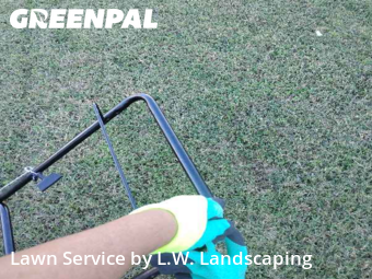 Grass Cut nearby Portsmouth, VA, 