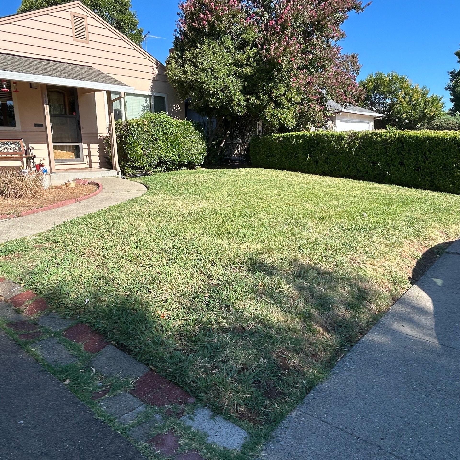 Lawn mowing work by Ocampo Lawn Care in Stockton, CA