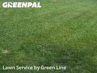 Lawn Service nearby Romeoville, IL, 