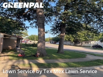 Commercial Landscaping In Irving,75060,Landscaping Cleanup by Tex Mex Lawn Service, work completed in Jun , 2026