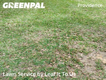 Grass Cut nearby Tallahassee, FL, 