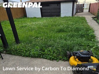 Lawn Carein Cicero,60804,Yard Mowing by Carbon To Diamond , work completed in Jun , 2026