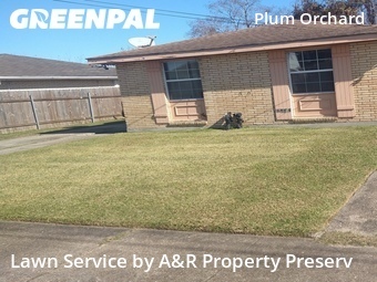 Lawn Cut nearby New Orleans, LA, 