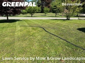 Grass Cut nearby Des Moines, IA, 