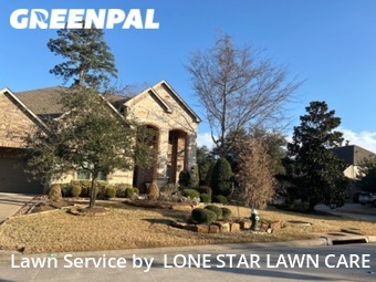 Grass Cut nearby Spring, TX, 