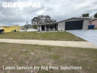 Lawn Mow nearby Holiday, FL, 