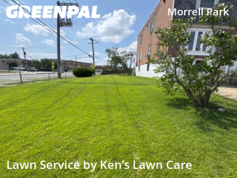 Yard Cutting nearby Philadelphia, PA, 