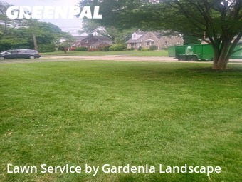 Grass Cutting nearby Lansdowne, PA, 